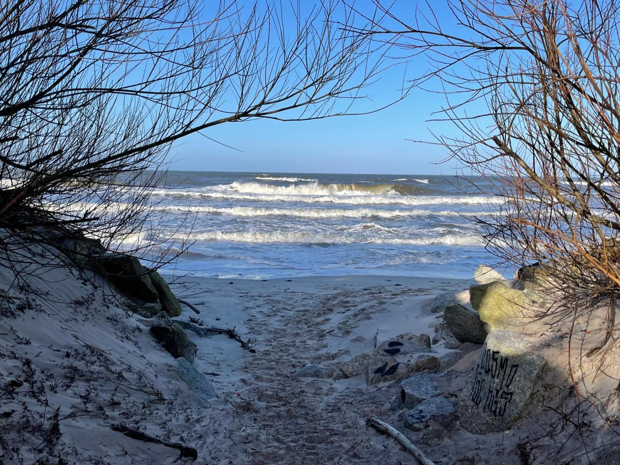 Apartamenty Pod Sosnami Sarbinowo Exteriör bild